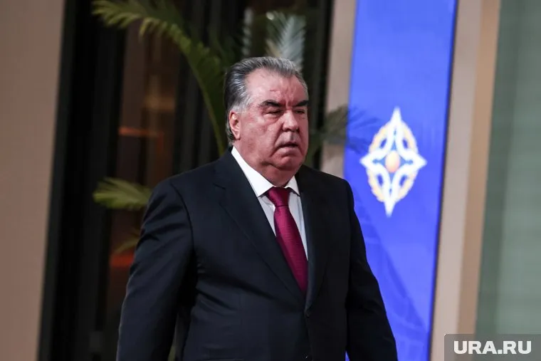 Рахмон заявил, что террористы не имеют национальности