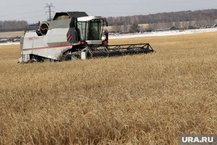 Курганская область может поставить на экспорт на Восток более 300 тысяч тонн зерна