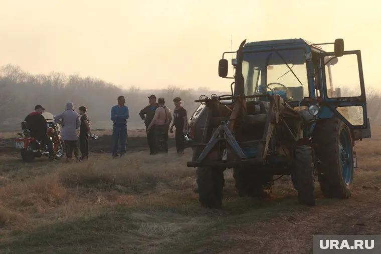 Челябинским аграриям помогут защитить растения от паразитов