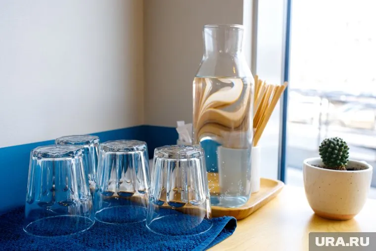 Воду из Москвы реки можно пить без ограничений, сказал Юрий Гончар