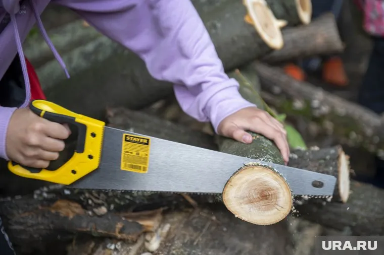 В Голландии массово скупают дрова и камины