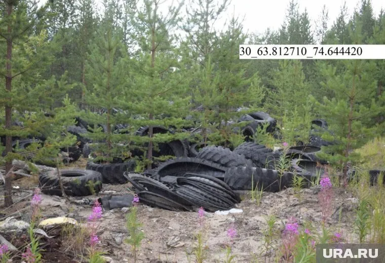 Ликвидировать свалки мэрия Муравленко начала после вмешательства прокуратуры