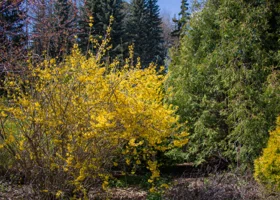 Уральские ученые: экосистемы России не справляются с переработкой углекислого газа