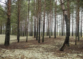 Фотография из галереи