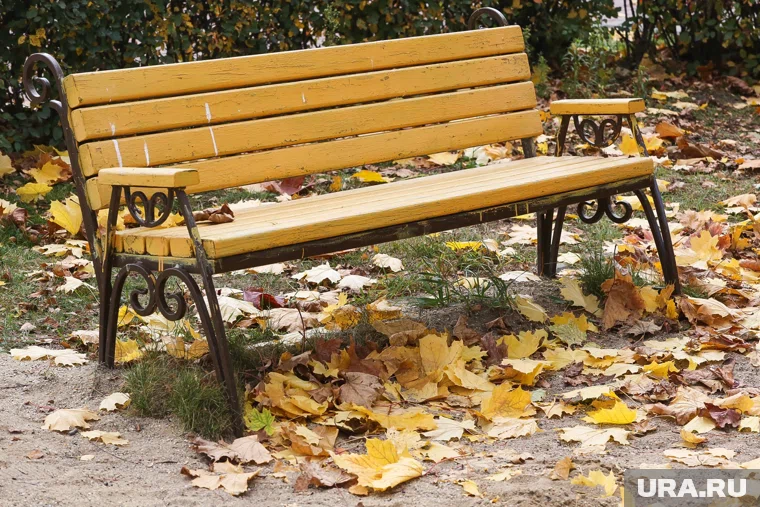 Днем воздух прогреется лишь до +8 градусов