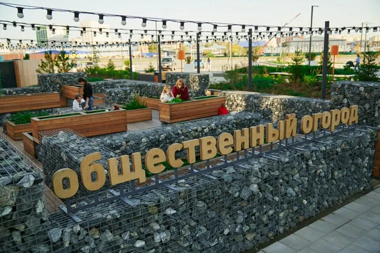 Выращивать овощи в публичном огороде сможет любой желающий