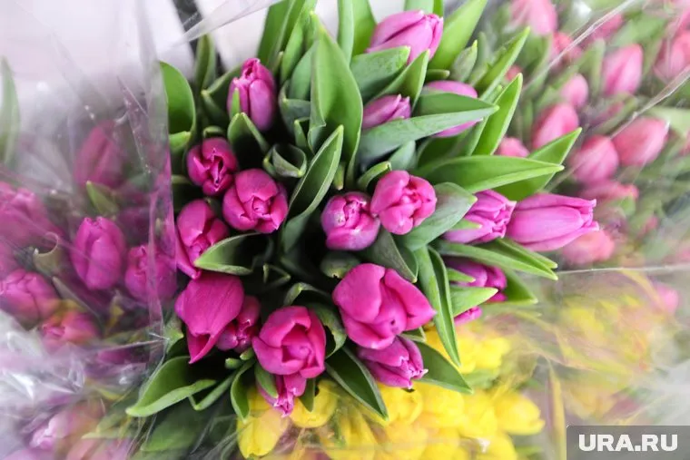 Предприниматели Ноябрьска обеспечат горожан цветами из местных теплиц