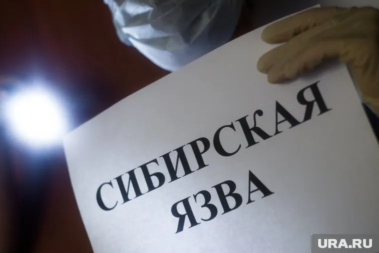 Сибирская язва — одна из самых распространенных и опасных инфекционных, способных поражать и человека