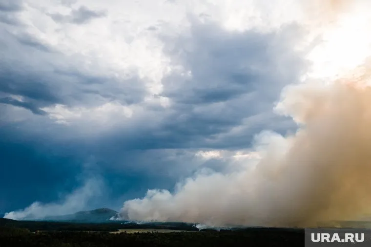 В Свердловской области горят леса и поля сухой травы