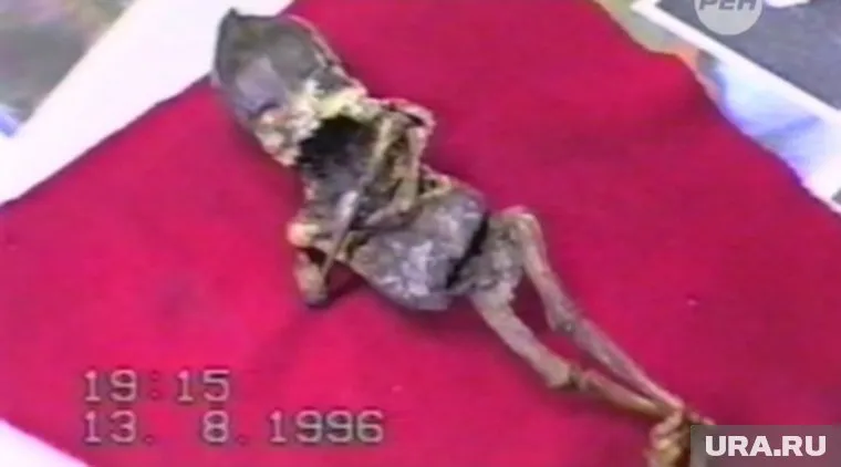 Гостей ждут дискуссия о тайне гуманоида и показ фильма о нем