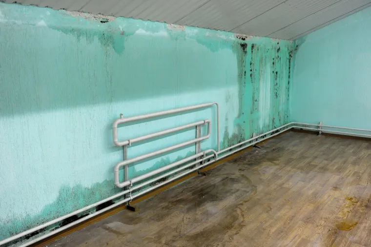 Поездка Алексея Текслера в Златоуст. Челябинская область