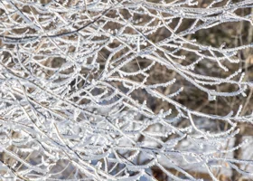 На Челябинскую область обрушатся ночные морозы