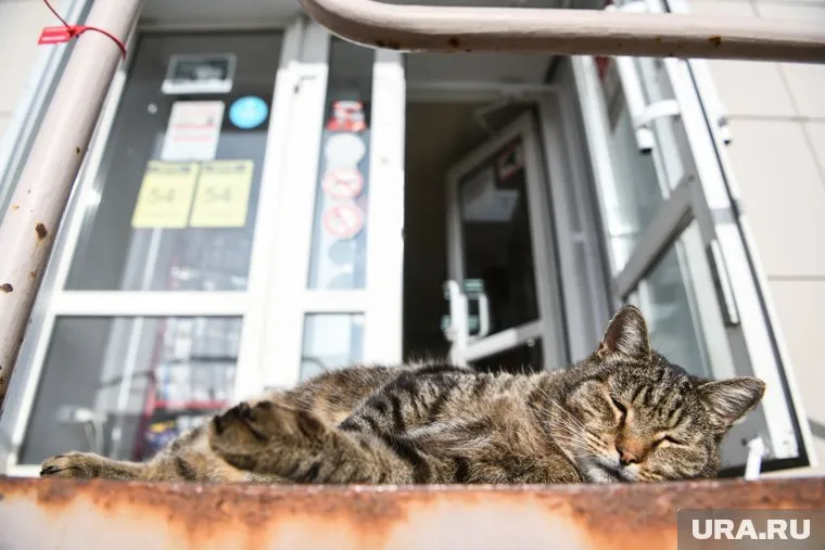 Конец февраля обещает быть теплым