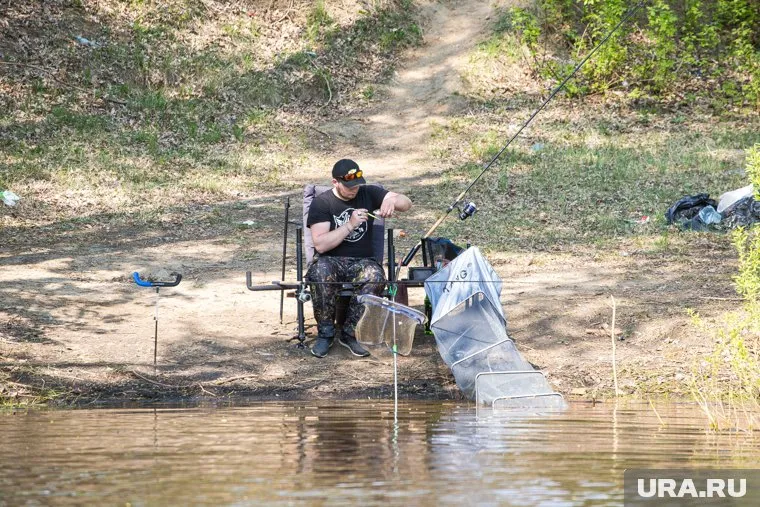 Такой улов рыбак поймал на реке Иртыш