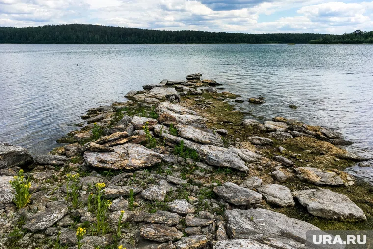 Особенно востребованы у челябинцев коттеджи в курортных зонах