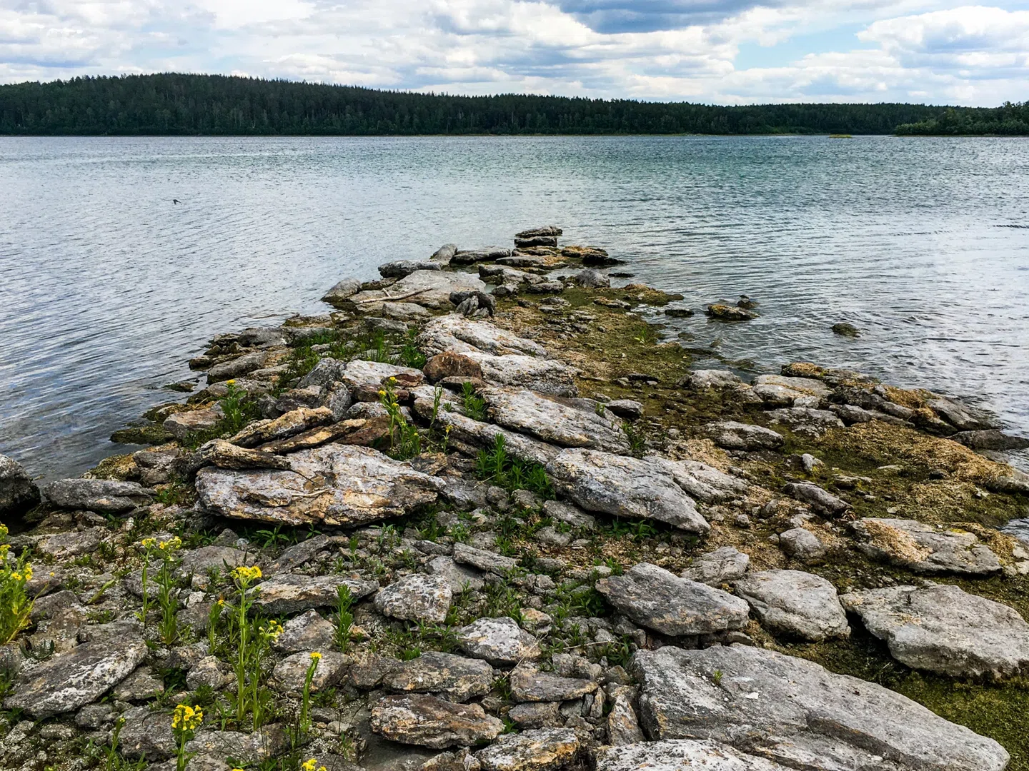 «Дома у гор и озер»: у челябинцев вдвое вырос спрос на коттеджи в природных локациях