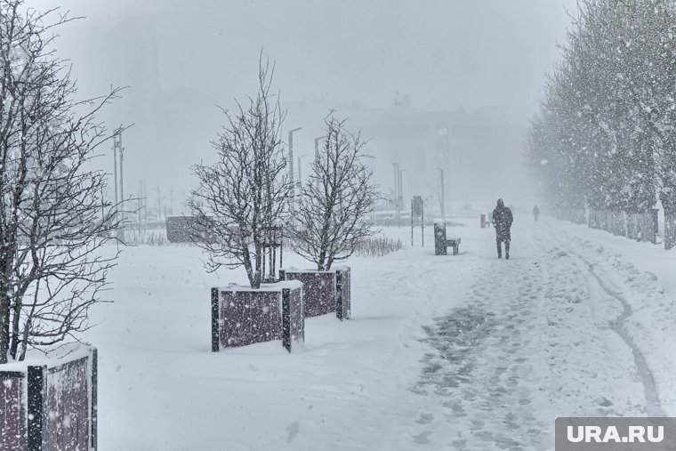 Россию ждут аномальные зимы