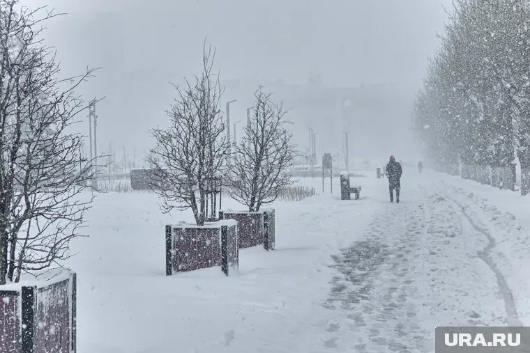 Метеоролог Вильфанд предупредил россиян о вероятности аномально холодной зимы