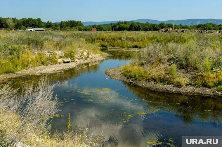Останки двух человек были обнаружены во время экорейда