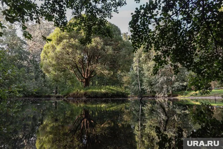 Туры на природу выросли на 20%