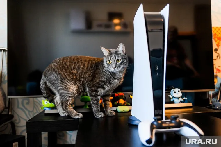 Во вторник знакомимся с новыми играми и смотрим фильм про великого художника и любителя кошек