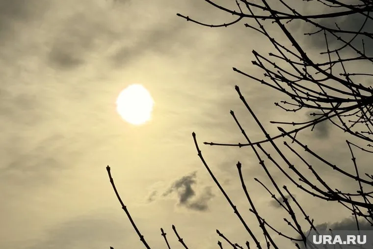 На следующей неделе