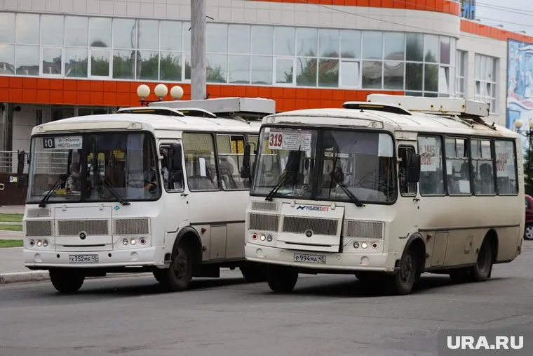 В Кургане перевозчик резко увеличил выручку