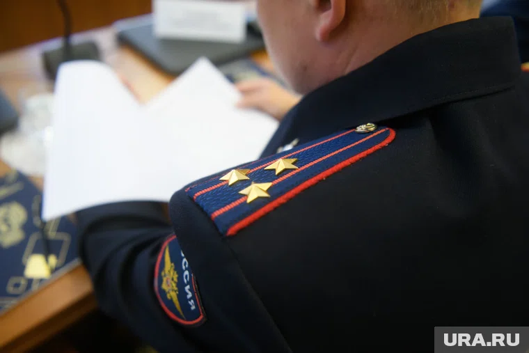 В Кургане следователи продлят сроки дела сестер Камшиловых