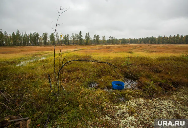 Усольцевых все еще не нашли