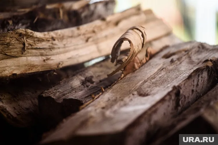 Отель для насекомых в виде домика хоббита собрали из поленьев