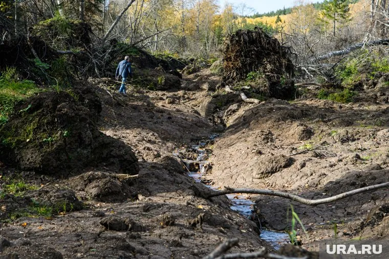 Специалисты рассказали о сейсмической активности в России в текущем году