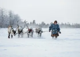 Скандал с ямальским оленеводом-оппозиционером дошел до ООН