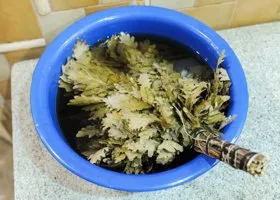 Фотография из галереи