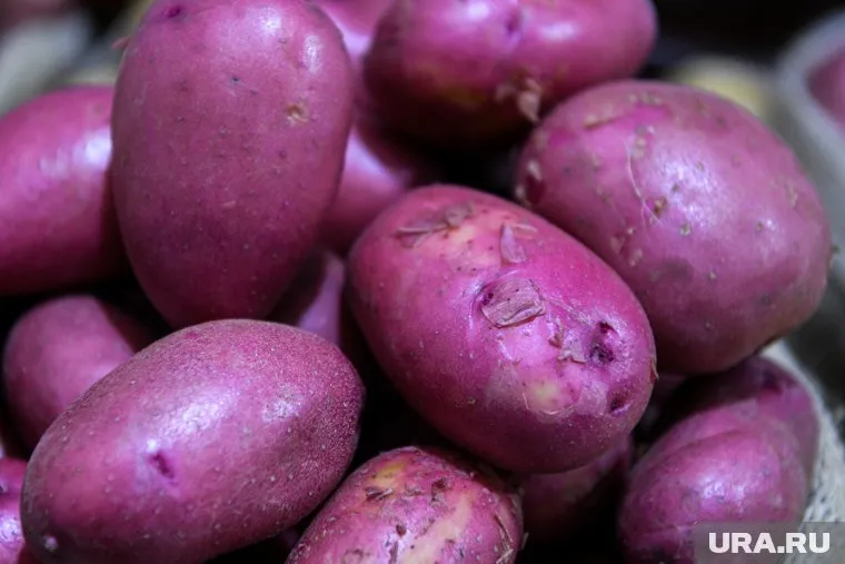 Гамма-облучение в малых дозах делает продукты питания сильнее
