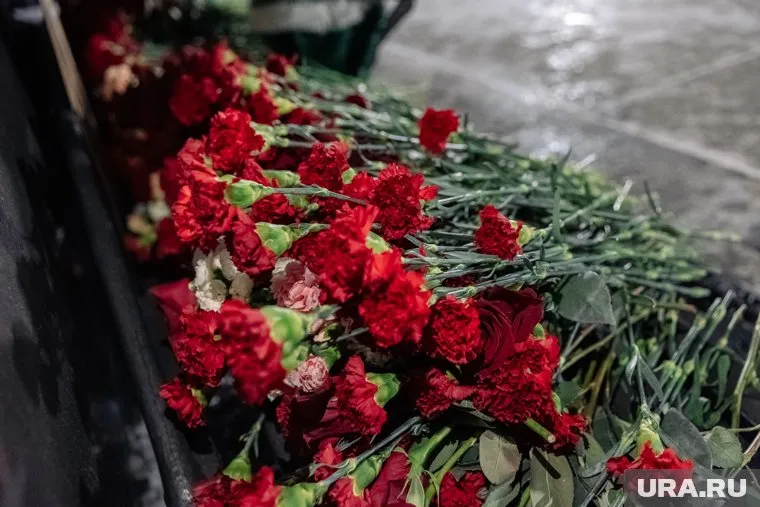 Похитителям цветов пришлось вернуть их на место к монументу