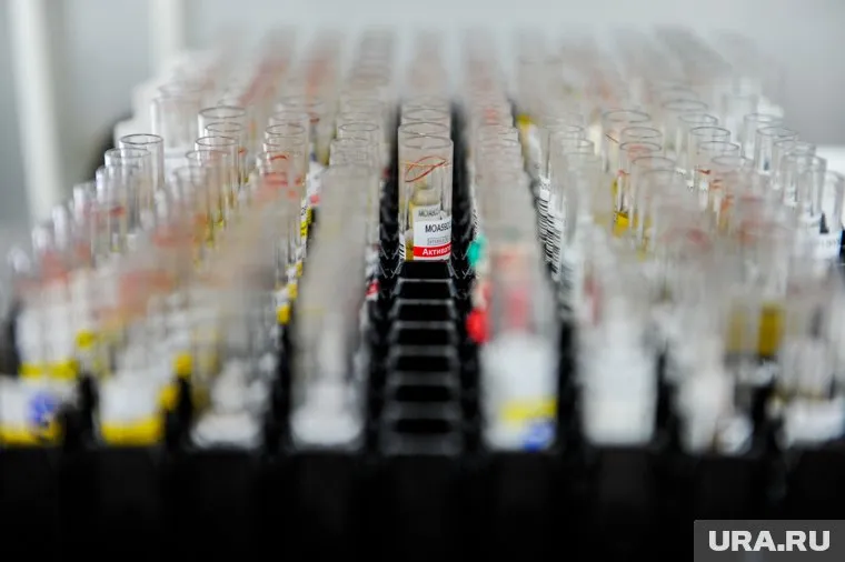 Учителя сдают анализы на коронавирус