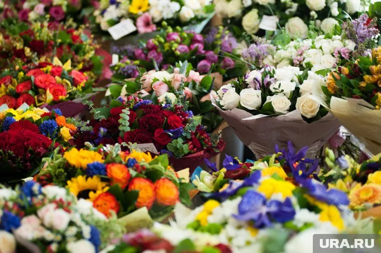 В среднем ямальцы потратят 115 500 000 миллионов рублей, на цветы к 1 сентября