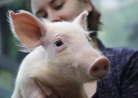 Фотография из галереи