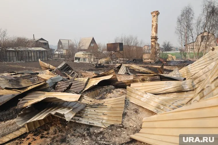 В Кургане в СНТ «Малиновка» сгорели 55 домов, а также линии электропередач