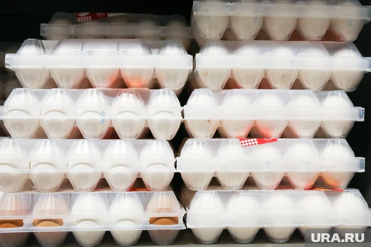 Десяток яиц в ЯНАО стоит в среднем 113,92 рубля 