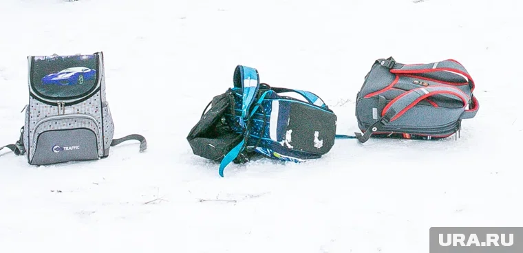 Детей из сургутской школы № 27 отправили на дистанционное обучение