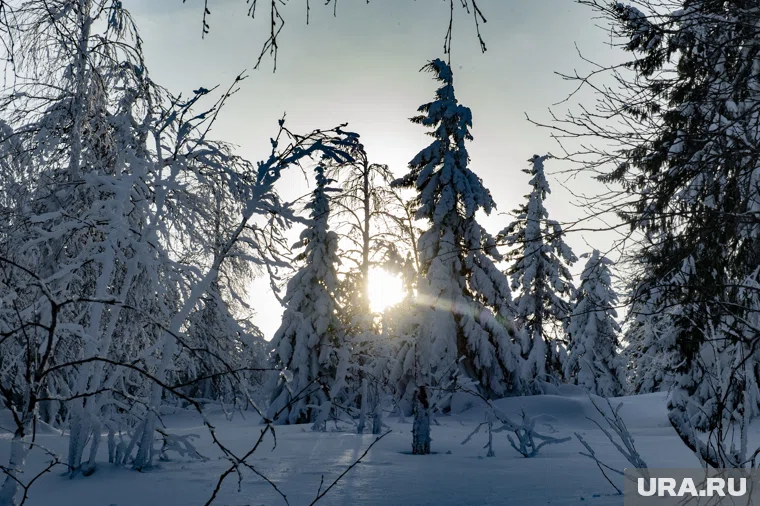 Под Красноярском продолжают искать пропавшую семью