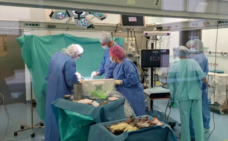 Робот помог успешно провести 12 операций