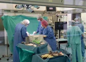 Свердловские врачи начали оперировать с помощью робота на основе ИИ