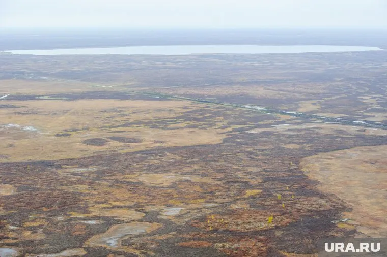 Девушка поссорилась с родней и ушла в неизвестном направлении
