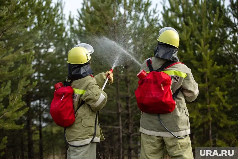 Эксперты опасаются, что сильная жара приведет к повторению прошлогодних пожаров