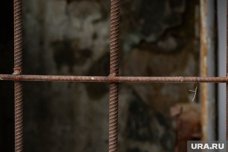 Кузнецов, обвиняемый в подрыве «Северных потоков», объявил голодовку