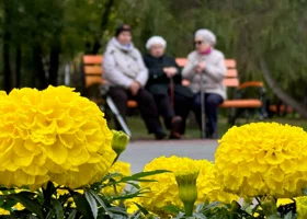 Какие выплаты и льготы положены свердловским пенсионерам
