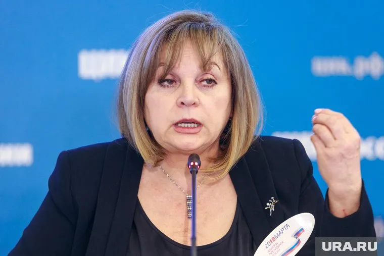Дистанционное голосование прошло в 25 регионах, заявила Элла Памфилова