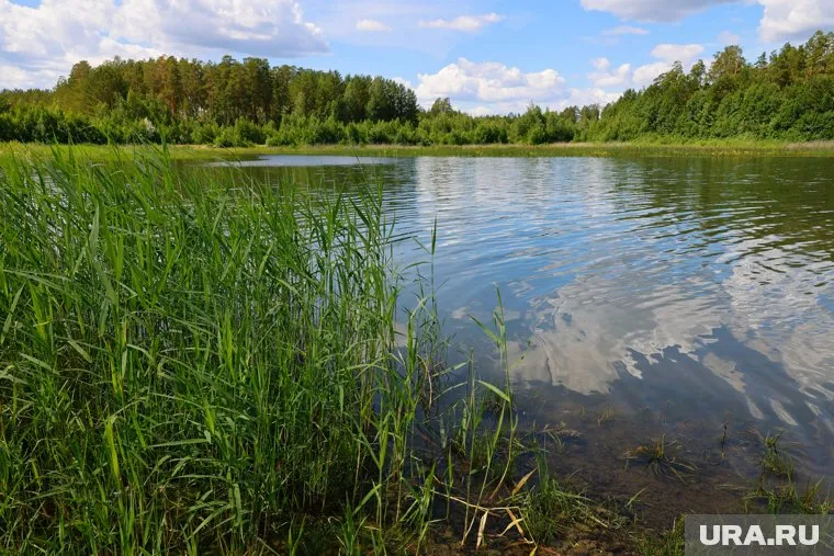 В Заозерном районе благоустроят озеро (архивное фото)